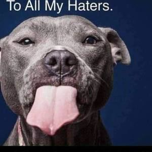 Meet your Posher, Jacob